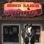 Norco Ranch Outfitters Logo
