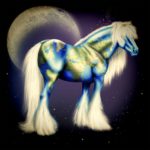 I Love the Internet (...and how the www taught me about horses.)